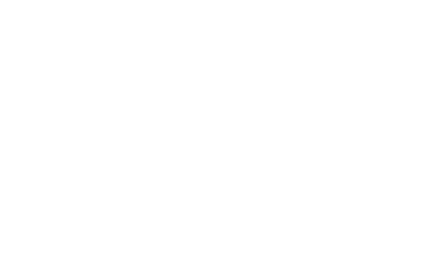 Equifit